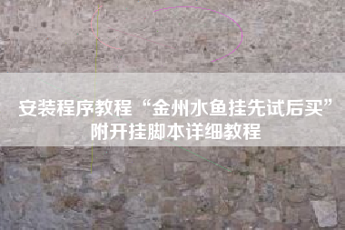 安装程序教程“金州水鱼挂先试后买”附开挂脚本详细教程