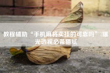 教程辅助“手机麻将卖挂的可靠吗”(曝光透视必备猫腻