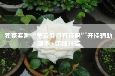 独家实测“奥云麻将有挂吗”开挂辅助脚本+详细开挂