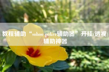 教程辅助“sohoo poker辅助器	”开挂(透视)辅助神器