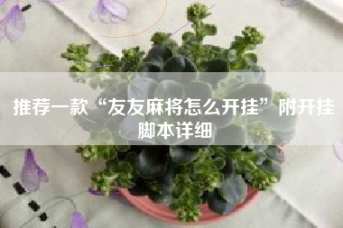 推荐一款“友友麻将怎么开挂”附开挂脚本详细