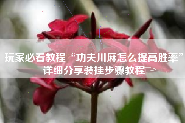 玩家必看教程“功夫川麻怎么提高胜率”详细分享装挂步骤教程