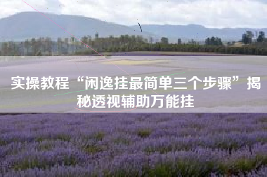 实操教程“闲逸挂最简单三个步骤”揭秘透视辅助万能挂