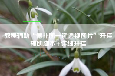 教程辅助“德扑圈一键透视图片”开挂辅助脚本+详细开挂