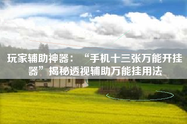 玩家辅助神器：“手机十三张万能开挂器”揭秘透视辅助万能挂用法
