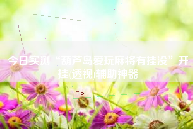 今日实测“葫芦岛爱玩麻将有挂没”开挂(透视)辅助神器