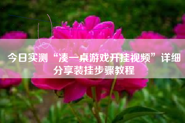 今日实测“凑一桌游戏开挂视频”详细分享装挂步骤教程