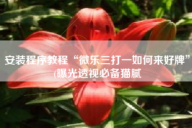 安装程序教程“微乐三打一如何来好牌”(曝光透视必备猫腻