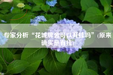 专家分析“花城牌舍可以开挂吗	”(原来确实是有挂)