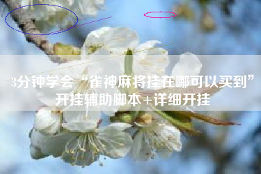 3分钟学会“雀神麻将挂在哪可以买到	”开挂辅助脚本+详细开挂