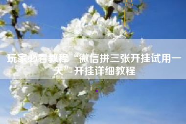 玩家必看教程“微信拼三张开挂试用一天”开挂详细教程