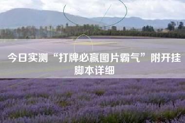 今日实测“打牌必赢图片霸气	”附开挂脚本详细