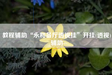 教程辅助“永和备厅透视挂”开挂(透视)辅助
