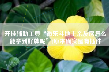 开挂辅助工具“微乐斗地主亲友房怎么能拿到好牌呢”(原来确实是有插件