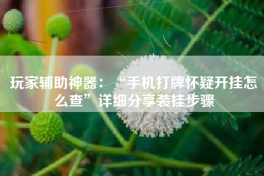 玩家辅助神器：“手机打牌怀疑开挂怎么查”详细分享装挂步骤