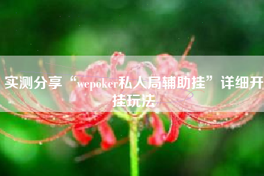 实测分享“wepoker私人局辅助挂	”详细开挂玩法