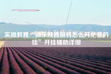 实操教程“微乐陕西麻将怎么开免费的挂	”开挂辅助详细