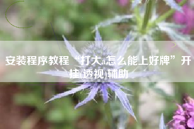 安装程序教程“打大a怎么能上好牌”开挂(透视)辅助
