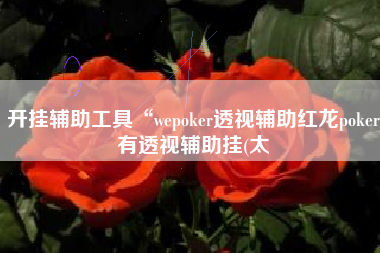 开挂辅助工具“wepoker透视辅助红龙poker有透视辅助挂(太