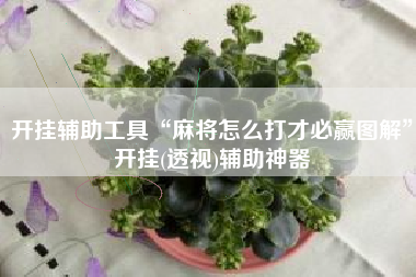 开挂辅助工具“麻将怎么打才必赢图解”开挂(透视)辅助神器