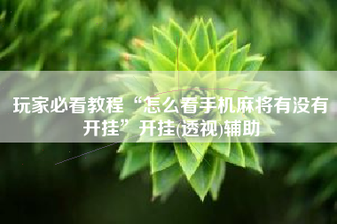 玩家必看教程“怎么看手机麻将有没有开挂”开挂(透视)辅助