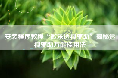 安装程序教程“微乐透视辅助”揭秘透视辅助万能挂用法