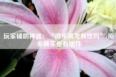 玩家辅助神器：“微乐窝龙有挂吗”(原来确实是有插件