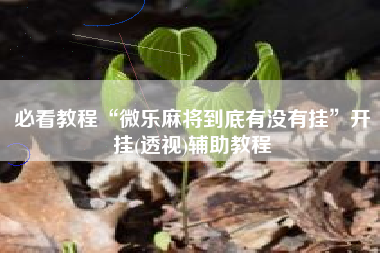 必看教程“微乐麻将到底有没有挂”开挂(透视)辅助教程