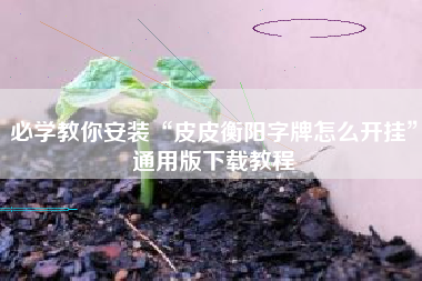 必学教你安装“皮皮衡阳字牌怎么开挂	”通用版下载教程