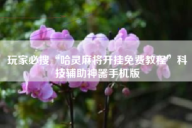 玩家必搜“哈灵麻将开挂免费教程”科技辅助神器手机版