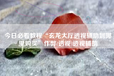 今日必看教程“玄龙大厅透视辅助到哪里购买”作弊(透视)透视辅助