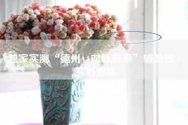 独家实测“德州AA对KK胜率”辅助器 - 实时智能