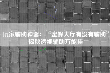 玩家辅助神器：“蜜蜂大厅有没有辅助”揭秘透视辅助万能挂