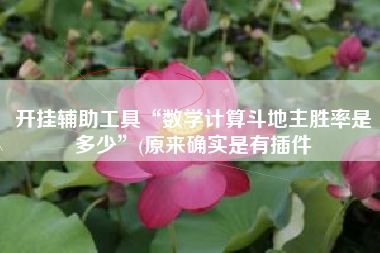 开挂辅助工具“数学计算斗地主胜率是多少”(原来确实是有插件