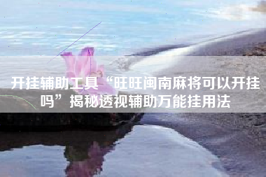 开挂辅助工具“旺旺闽南麻将可以开挂吗”揭秘透视辅助万能挂用法