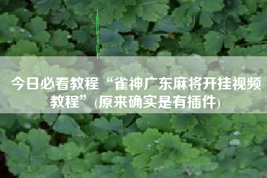 今日必看教程“雀神广东麻将开挂视频教程”(原来确实是有插件)