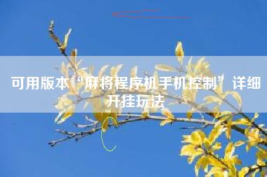 可用版本“麻将程序机手机控制	”详细开挂玩法