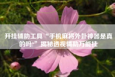 开挂辅助工具“手机麻将外卦神器是真的吗?	”揭秘透视辅助万能挂