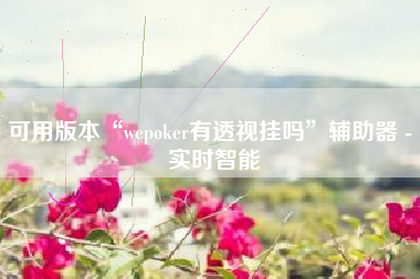 可用版本“wepoker有透视挂吗”辅助器 - 实时智能