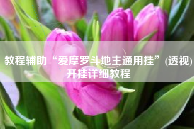 教程辅助“爱摩罗斗地主通用挂”(透视)开挂详细教程