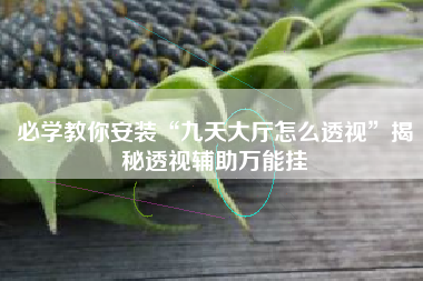 必学教你安装“九天大厅怎么透视”揭秘透视辅助万能挂