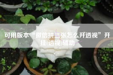 可用版本“微信拼三张怎么开透视”开挂(透视)辅助