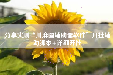 分享实测“川麻圈辅助器软件	”开挂辅助脚本+详细开挂