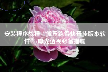 安装程序教程“微乐跑得快开挂版本软件	”(曝光透视必备猫腻