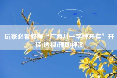 玩家必看教程“广西八一字牌开挂”开挂(透视)辅助神器