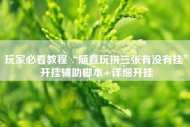 玩家必看教程“随意玩拼三张有没有挂”开挂辅助脚本+详细开挂
