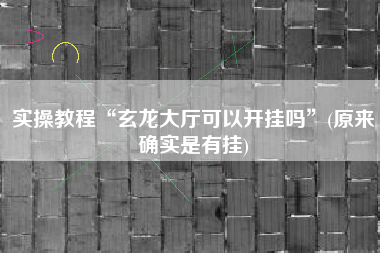 实操教程“玄龙大厅可以开挂吗”(原来确实是有挂)