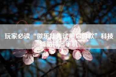 玩家必读“微乐挂先试用后付款	”科技辅助神器手机