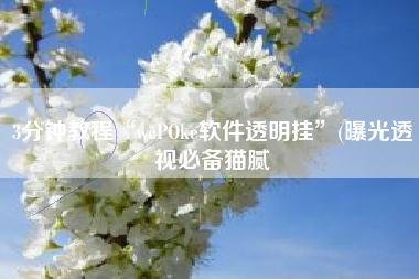 3分钟教程“wePOke软件透明挂”(曝光透视必备猫腻