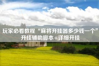 玩家必看教程“麻将开挂器多少钱一个	”开挂辅助脚本+详细开挂